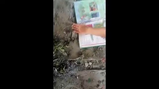 Мы нашли гроб! смотреть онлайн