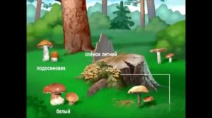 Обучающий мультфильм "Правила безопасности для детей на природе, в городе, при пожаре"