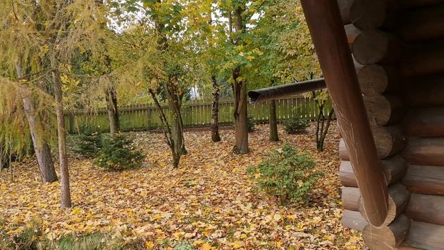 ☀️ КАК УСТАНОВИТЬ МЫШЕЛОВКУ 🐁🐭🐀 смотреть онлайн