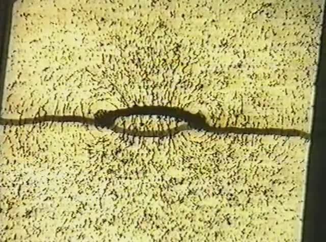 Физика. Опыты. Электричество и магнетизм. Визуализация силовых линий магнитного поля. Виток с током смотреть онлайн