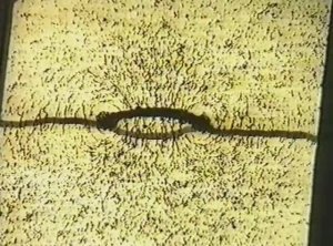 Физика. Опыты. Электричество и магнетизм. Визуализация силовых линий магнитного поля. Виток с током