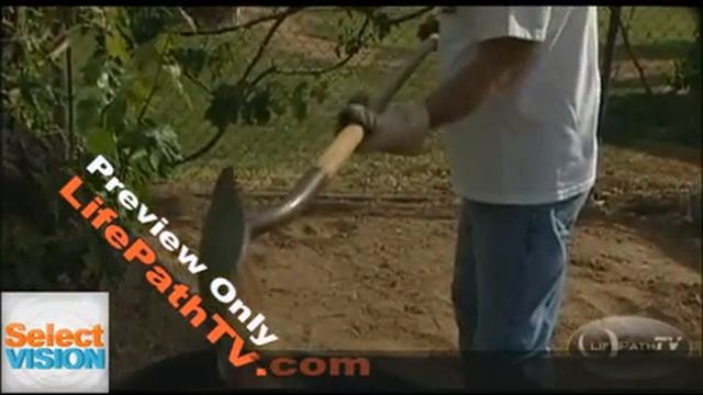 Best in Chiropractic Patient Education & Marketing-"Smart Gardening"-LP1205S5 смотреть онлайн