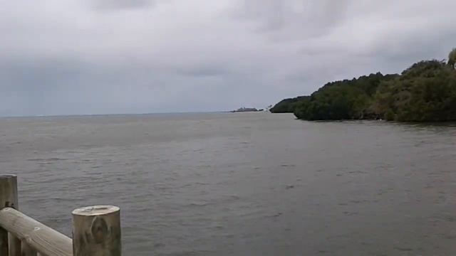 Mauritius best view when the sea meet the river(vlog#1) смотреть онлайн