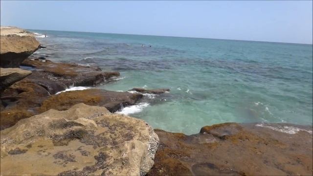 Josh at Ocean Reef short vers with music смотреть онлайн