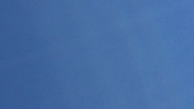 Молодые сапсаны тренируются смотреть онлайн