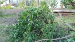 Купили дачу навожу порядок