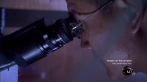 Сквозь пространство и время с Морганом Фрименом 2 сезон 9 серия (документальный сериал, 2010)