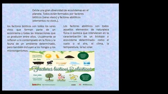 BIOLOGÍA смотреть онлайн