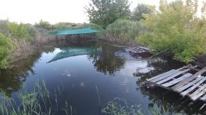 Естественный пруд с форелью и с карасями