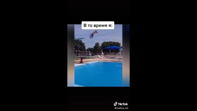 Топ смешных видео с Тик Ток на сегодня смотреть онлайн