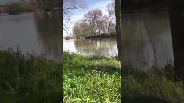 14 mars 2022 смотреть онлайн