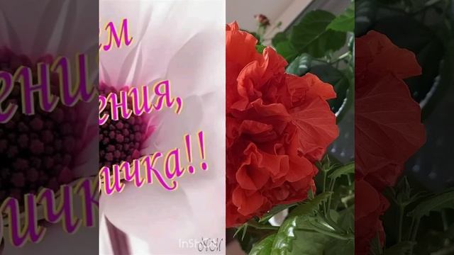 С днём рождения сестрёнка!