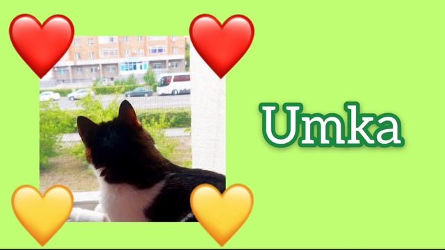 ЗАСТАВКА/ИНТРО МОЕГО КАНАЛА💖 Jessina weekdays🌼 смотреть онлайн