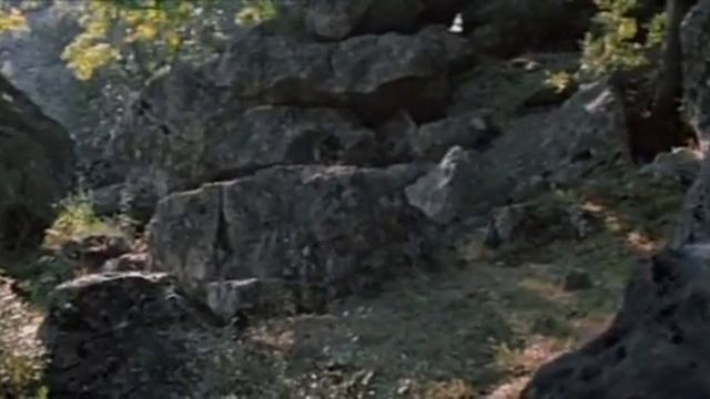 Огонь, вода и медные трубы 1967 Александр Роу