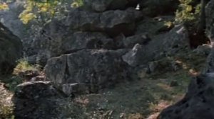 Огонь, вода и медные трубы 1967 Александр Роу