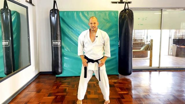 San Dan Gi: Basic to Advanced смотреть онлайн