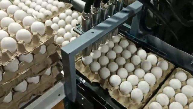 Комплекс для маркировки яиц REALTA смотреть онлайн
