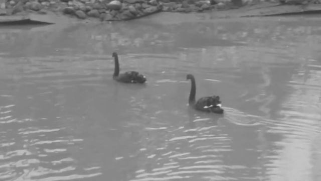 Ракурс смотреть онлайн