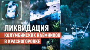 Бегство и ликвидация: отряд «Шторм» уничтожил колумбийцев в Красногоровке