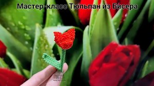 Мастер-класс Тюльпан из Бисера