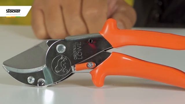 FORBICI DA POTATURA LÖWE смотреть онлайн