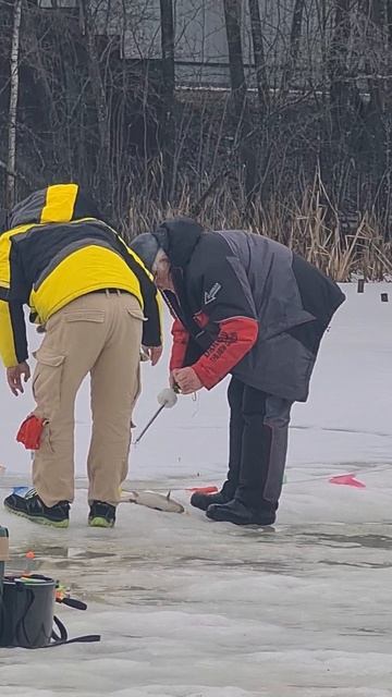 Поимки форели смотреть онлайн