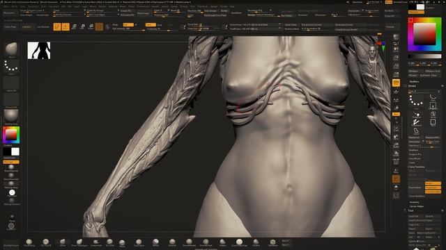 Female Character Torso Sculpting in Zbrush 01 смотреть онлайн