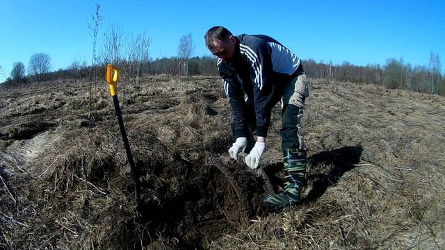 Копай,лопата,не ленись! смотреть онлайн