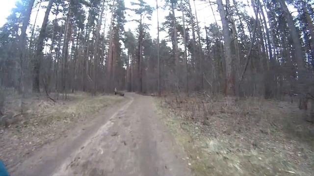 Дорошиха. Тропа здоровья (фрагмент). 19.04.2015 смотреть онлайн