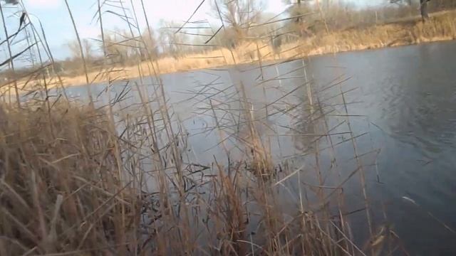 Озеро ямное Мизайловка смотреть онлайн