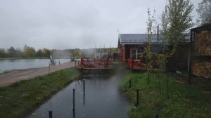 Откуда берется рыба на Рыбных Прудах?