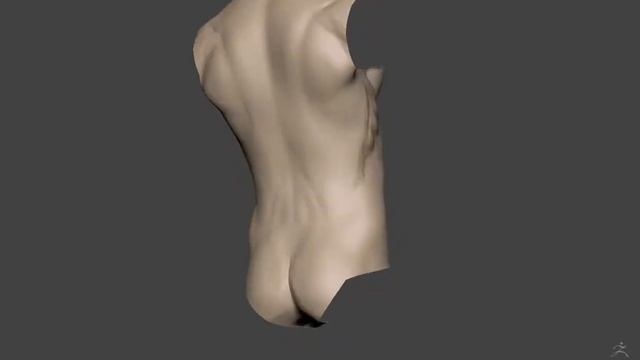 ZBrush anatomy block-in смотреть онлайн