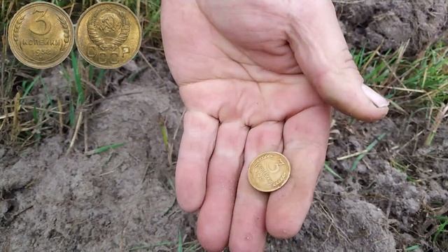 Нашли деревню с кучей топоров смотреть онлайн