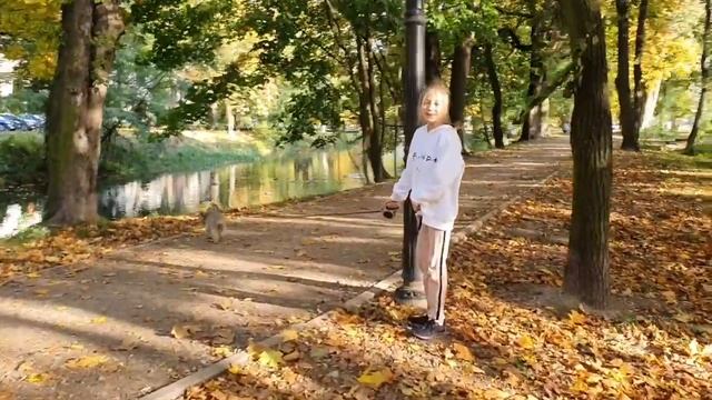 Влада нашла собаку у мамы на работе, что с ней делать? идем гулять смотреть онлайн