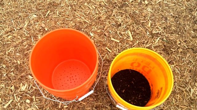 Sprouting Sunflower Seeds for Chickens смотреть онлайн