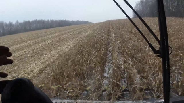 Комбайн TORUM 785 на уборке кукурузы. Сравнение жаток. Сезон 2022 смотреть онлайн