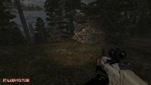 stalker путь человека возвращение, обследовать место перед АС для Петренко найти тайник Горгона