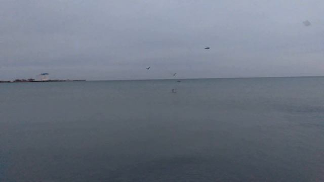 #Анапа Центральный пляж Раннее утро смотреть онлайн