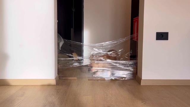 Invisible Challenge with 2 Funny Frenchies смотреть онлайн