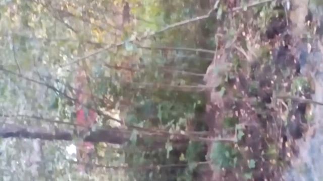 На улице Красной в Сланцах прорвало трубу. смотреть онлайн