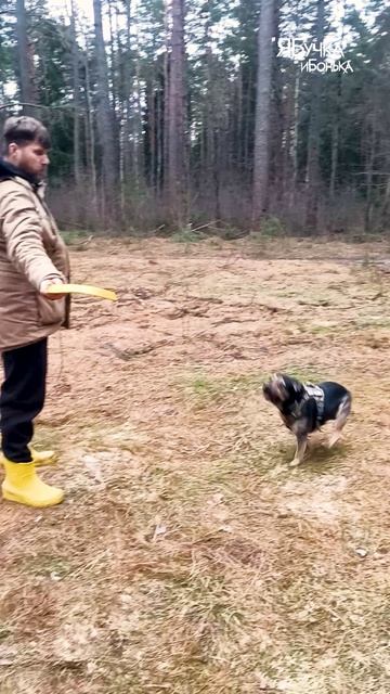 Учим Бучку правильно прыгать!