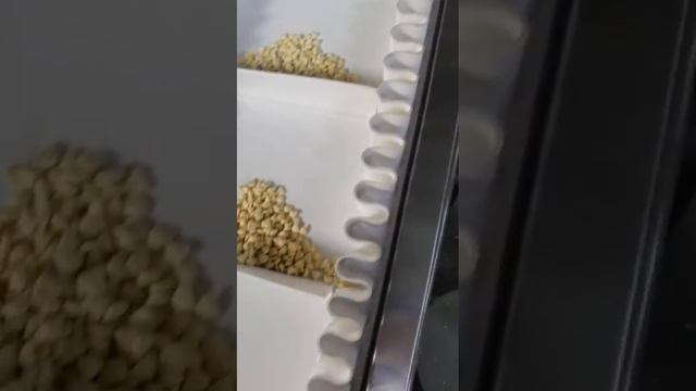 Тестирование линии для производства кормов2 300-500кг/ч (Китай) смотреть онлайн