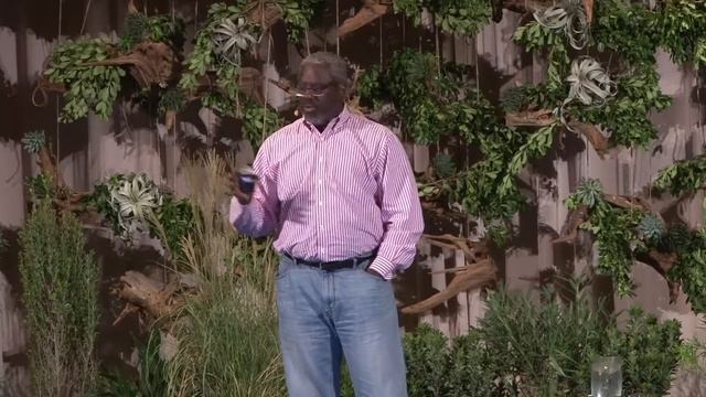James D. White, CEO of Jamba Juice | Refreshing The Planet | 2015 CEO Summit смотреть онлайн