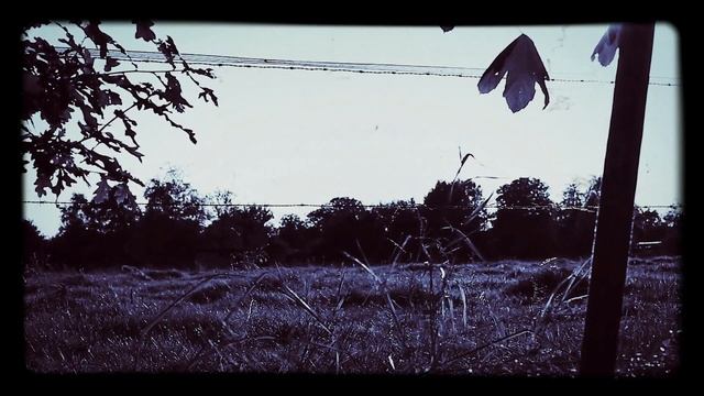 КАК АЛКОГОЛЬ ОТКРЫВАЕТ ПОРТАЛ К МЁРТВЫМ смотреть онлайн