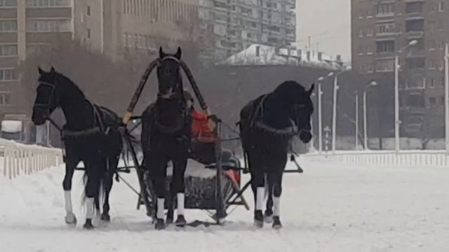 Настоящая русская тройка смотреть онлайн