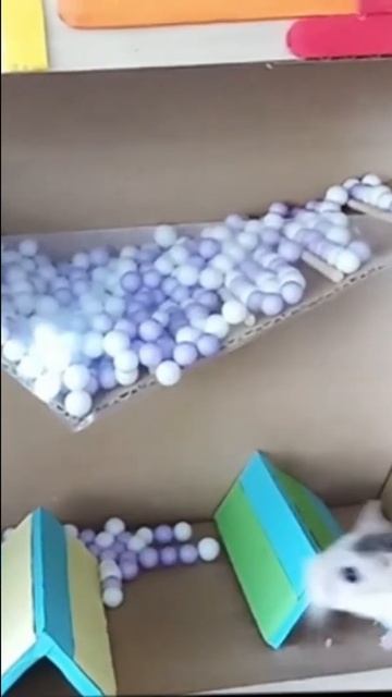 DIY My Hamster Escape 7 Obstacle Step To Get Win Make Hamster Gaming Using Cardboard смотреть онлайн