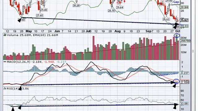 Put (TZA) On The Watch List 10/04/2010 смотреть онлайн