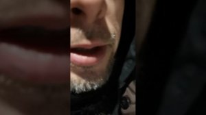 электрошокер против медведя)