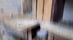 Построил Новую Голубятню для долгожданных лётных голубей 🤩/pigeon pigeons