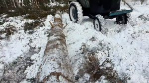 Как и сколько зарабатывают лесорубы?Валка и Трелёвка леса на зверях МТЗ-82!